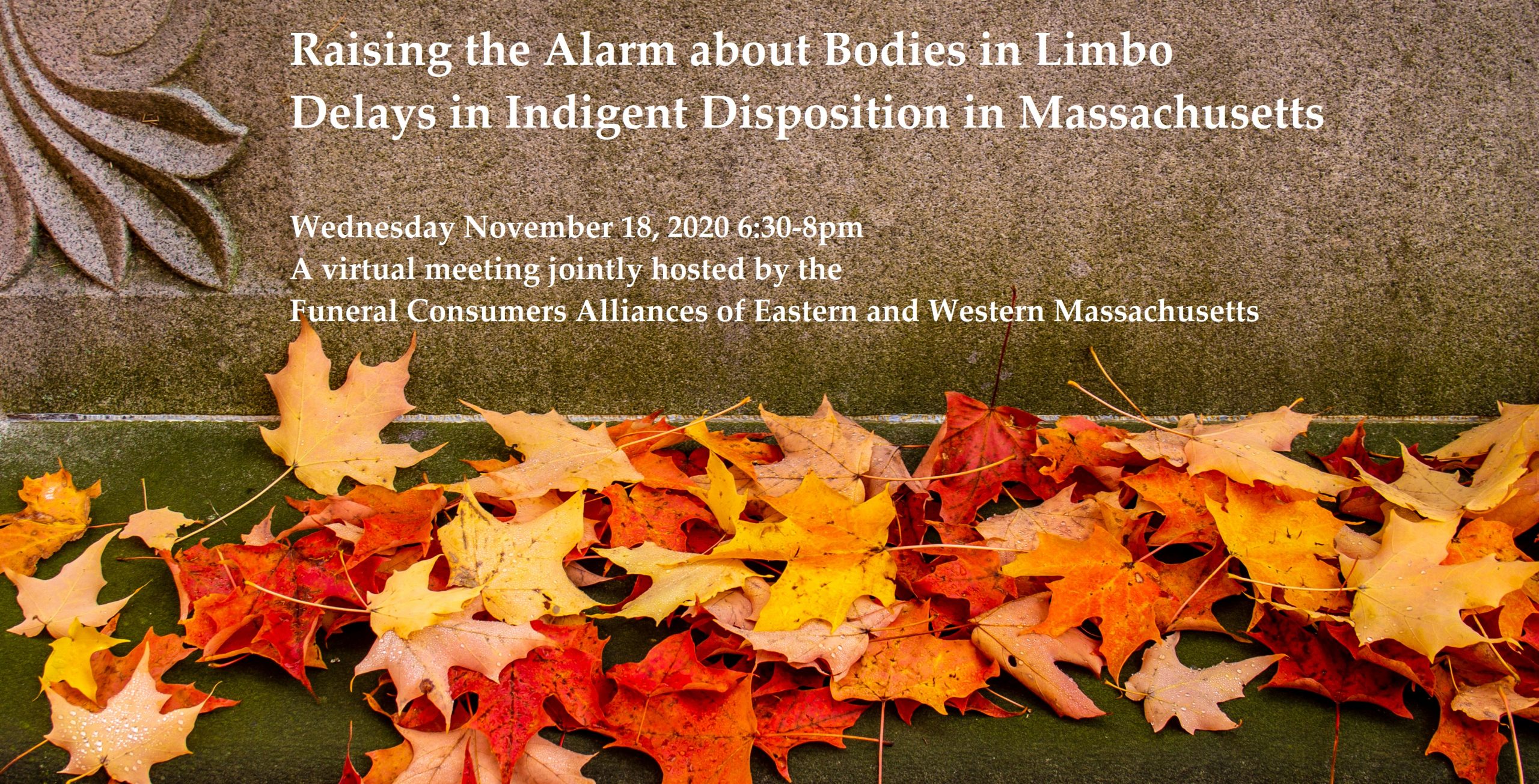header for Nov 8 flier